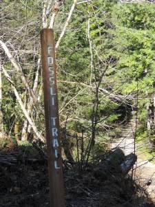 This post is the trailhead, just past the 4 km mark on Stirling Arm Main.