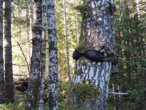 Someone was having some fun (it's not mine, honest)!