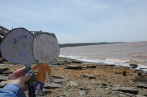 The beach at Joggins, where many fossils have been uncovered, is on the Bay of Fundy. When the tide comes in, it comes in really fast. The sand is red in this area. If we found fossils we were told we had to leave them on the beach.