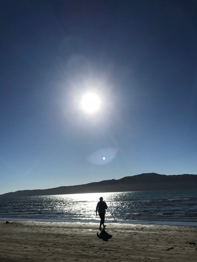 Mom (Judy Quinn) beachcombing along the water line on North Paraparaumu Beach.